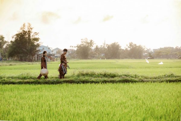 Hoi An countryside and rice fields in Vietnam