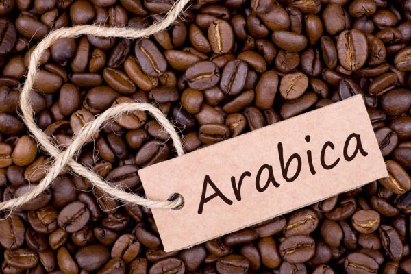 Arabica and Robusta coffee beans in Vietnam
