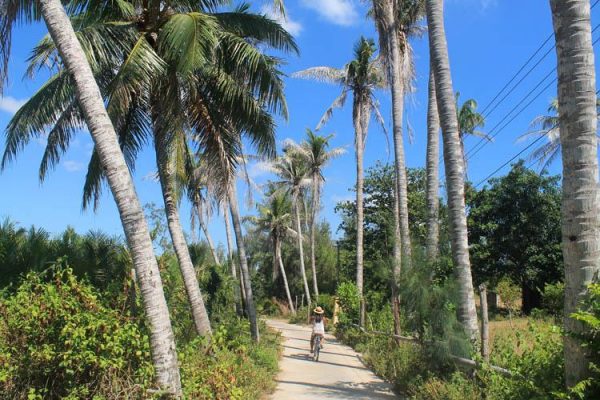 Quiet countryside road through Cam Thanh Hoi An with coconut trees