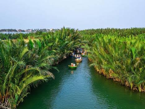 Traditional basket boat experience through the coconut palm waterways of Hoi An, Vietnam