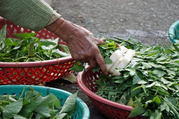 A shopper checking the freshness of leafy vegetables at a traditional market in Hoi An, Vietnam.